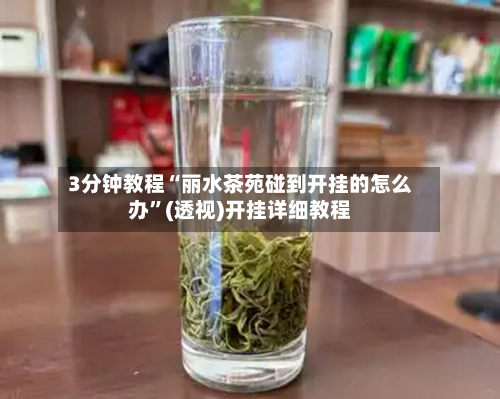 3分钟教程“丽水茶苑碰到开挂的怎么办”(透视)开挂详细教程-第2张图片