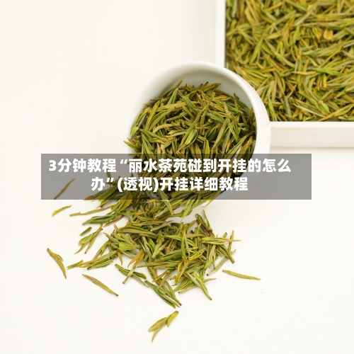 3分钟教程“丽水茶苑碰到开挂的怎么办”(透视)开挂详细教程-第3张图片