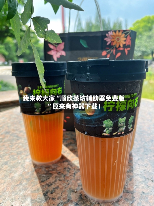 我来教大家“顺欣茶坊辅助器免费版	”原来有神器下载！-第2张图片