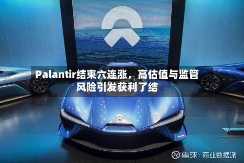 Palantir结束六连涨，高估值与监管风险引发获利了结-第3张图片