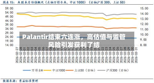 Palantir结束六连涨，高估值与监管风险引发获利了结-第2张图片