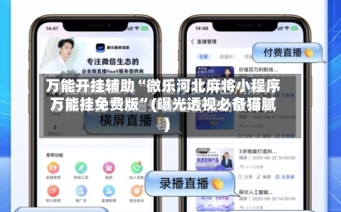 万能开挂辅助“微乐河北麻将小程序万能挂免费版	”(曝光透视必备猫腻)-第2张图片