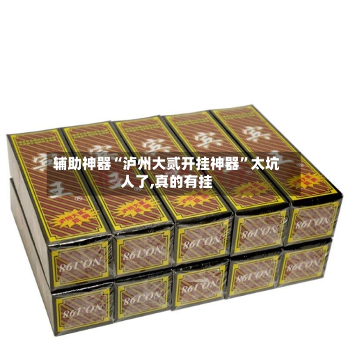 辅助神器“泸州大贰开挂神器”太坑人了,真的有挂-第2张图片