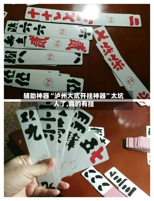 辅助神器“泸州大贰开挂神器”太坑人了,真的有挂-第3张图片