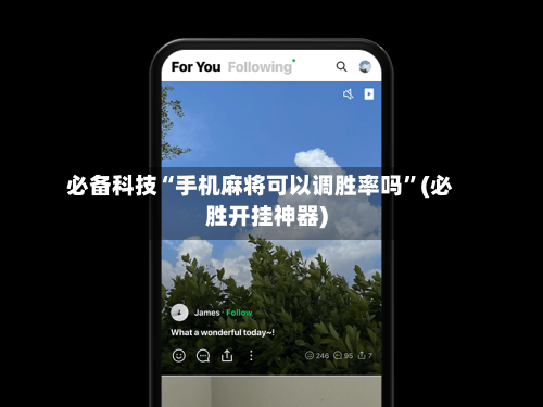 必备科技“手机麻将可以调胜率吗”(必胜开挂神器)-第3张图片