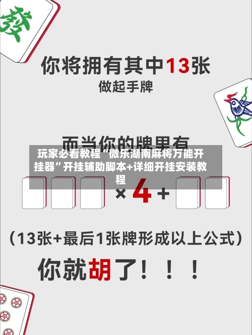 玩家必看教程“微乐湖南麻将万能开挂器	”开挂辅助脚本+详细开挂安装教程-第2张图片
