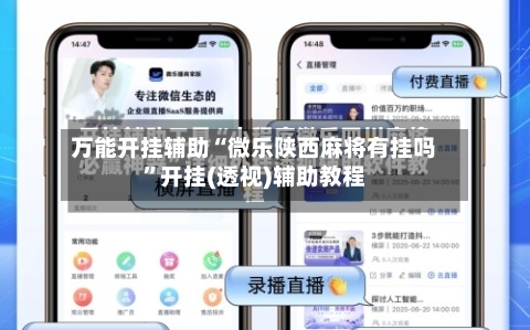 万能开挂辅助“微乐陕西麻将有挂吗”开挂(透视)辅助教程-第3张图片