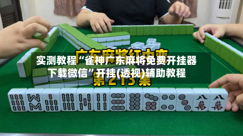 实测教程“雀神广东麻将免费开挂器下载微信	”开挂(透视)辅助教程-第2张图片