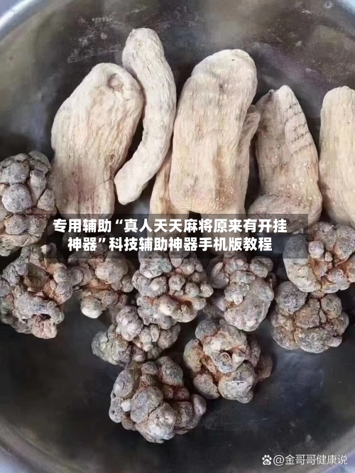 专用辅助“真人天天麻将原来有开挂神器”科技辅助神器手机版教程-第2张图片