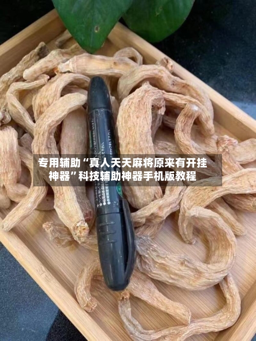 专用辅助“真人天天麻将原来有开挂神器”科技辅助神器手机版教程-第3张图片