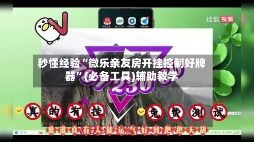 秒懂经验“微乐亲友房开挂控制好牌器”(必备工具)辅助教学-第2张图片