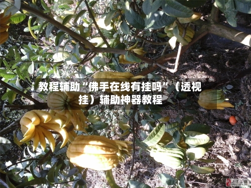 教程辅助“佛手在线有挂吗	”（透视挂）辅助神器教程-第2张图片