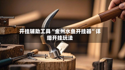 开挂辅助工具“金州水鱼开挂器”详细开挂玩法-第2张图片