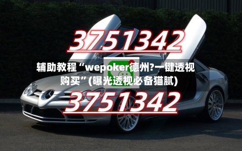辅助教程“wepoker德州?一键透视购买”(曝光透视必备猫腻)-第2张图片