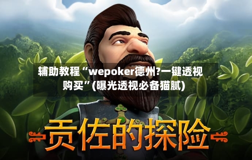 辅助教程“wepoker德州?一键透视购买”(曝光透视必备猫腻)-第3张图片