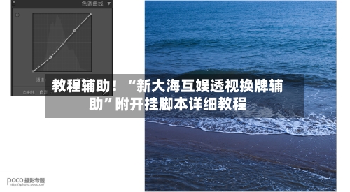 教程辅助！“新大海互娱透视换牌辅助”附开挂脚本详细教程-第2张图片