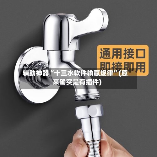 辅助神器“十三水软件输赢规律”(原来确实是有插件)-第2张图片