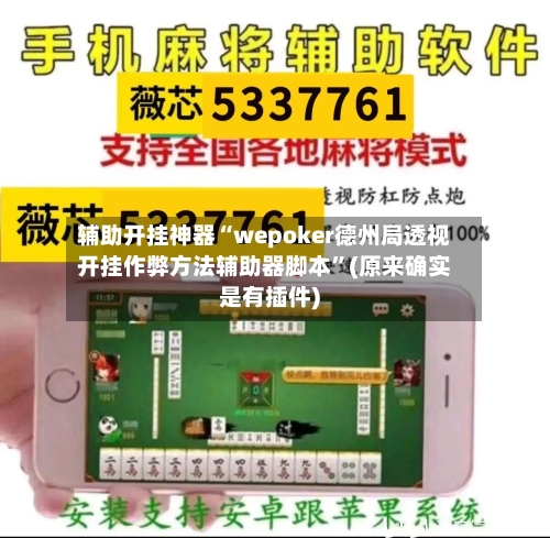 辅助开挂神器“wepoker德州局透视开挂作弊方法辅助器脚本”(原来确实是有插件)-第2张图片