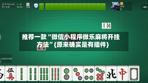 推荐一款“微信小程序微乐麻将开挂方法	”(原来确实是有插件)-第2张图片