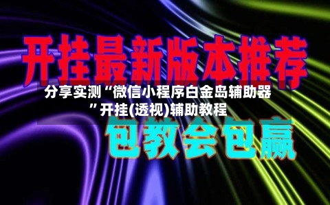 分享实测“微信小程序白金岛辅助器”开挂(透视)辅助教程-第3张图片