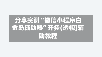 分享实测“微信小程序白金岛辅助器	”开挂(透视)辅助教程-第2张图片