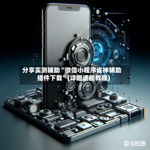 分享实测辅助“微信小程序雀神辅助插件下载”(详细透视教程)-第2张图片
