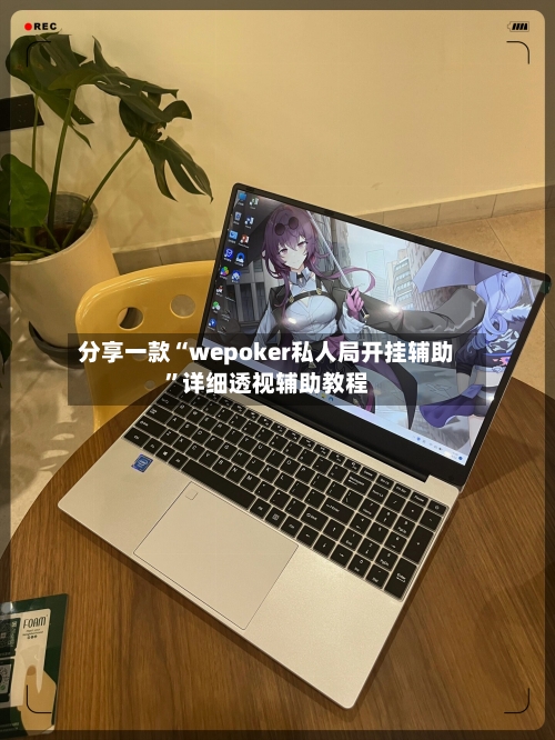 分享一款“wepoker私人局开挂辅助”详细透视辅助教程-第2张图片