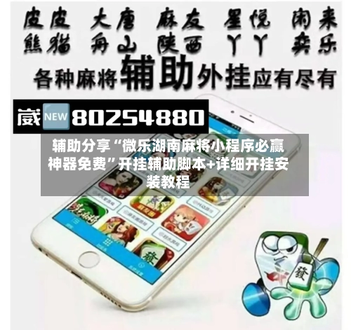 辅助分享“微乐湖南麻将小程序必赢神器免费”开挂辅助脚本+详细开挂安装教程-第3张图片