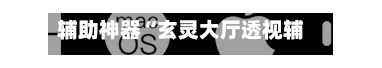 辅助神器“玄灵大厅透视辅助”(透视)开挂辅助脚本+详细开挂安装教程-第3张图片