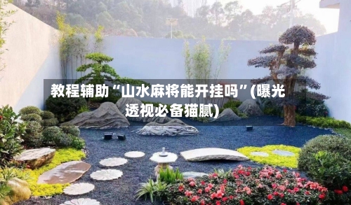 教程辅助“山水麻将能开挂吗”(曝光透视必备猫腻)-第2张图片