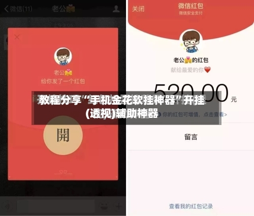 教程分享“手机金花软挂神器	”开挂(透视)辅助神器-第2张图片