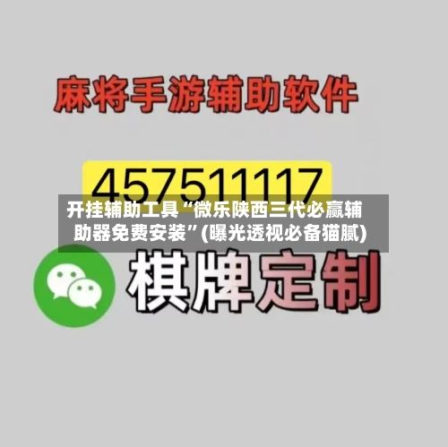 开挂辅助工具“微乐陕西三代必赢辅助器免费安装”(曝光透视必备猫腻)