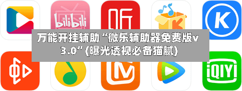万能开挂辅助“微乐辅助器免费版v3.0”(曝光透视必备猫腻)-第2张图片