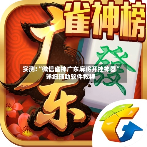 实测!“微信雀神广东麻将开挂神器”详细辅助软件教程-第3张图片