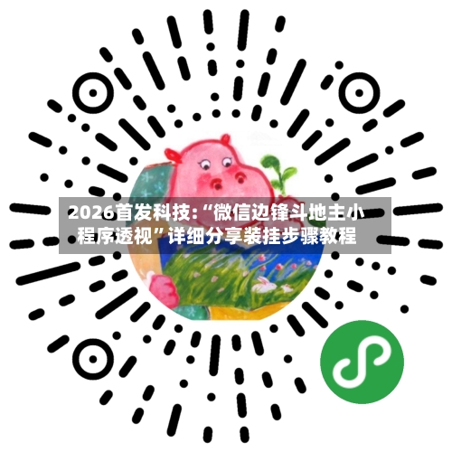 2026首发科技:“微信边锋斗地主小程序透视	”详细分享装挂步骤教程-第2张图片