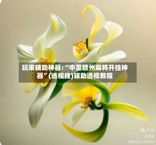 玩家辅助神器:“中至赣州麻将开挂神器	”(透视挂)辅助透视教程-第2张图片