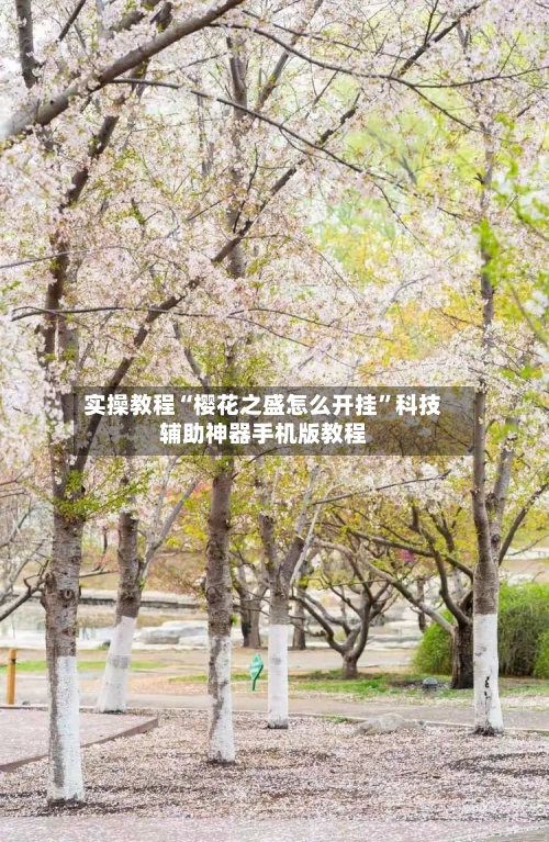 实操教程“樱花之盛怎么开挂”科技辅助神器手机版教程-第3张图片