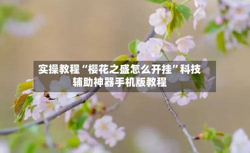 实操教程“樱花之盛怎么开挂	”科技辅助神器手机版教程-第2张图片