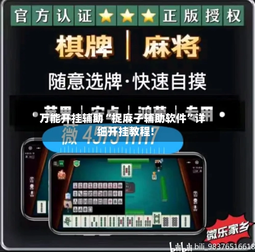 万能开挂辅助“捉麻子辅助软件”详细开挂教程!-第3张图片