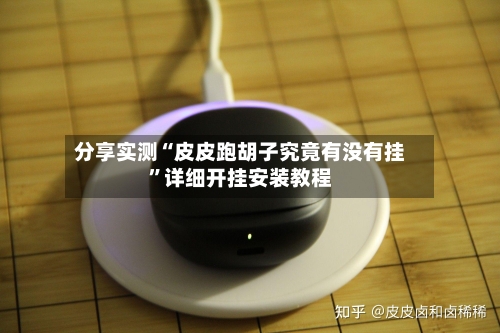 分享实测“皮皮跑胡子究竟有没有挂”详细开挂安装教程