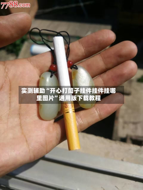 实测辅助“开心打筒子挂件挂件挂哪里图片”通用版下载教程-第3张图片