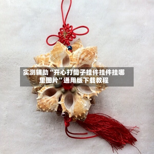 实测辅助“开心打筒子挂件挂件挂哪里图片	”通用版下载教程-第2张图片