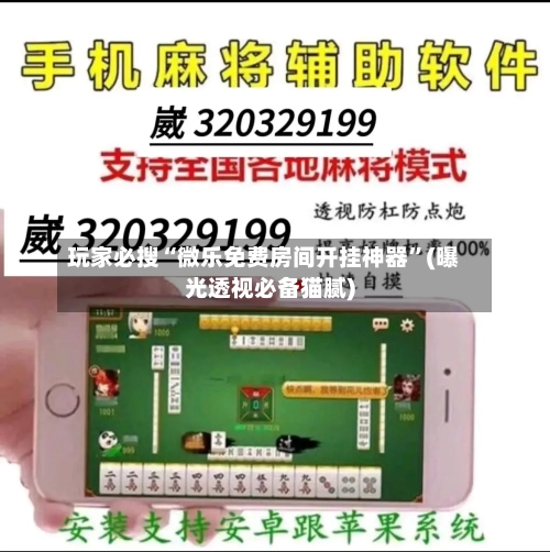 玩家必搜“微乐免费房间开挂神器”(曝光透视必备猫腻)-第3张图片