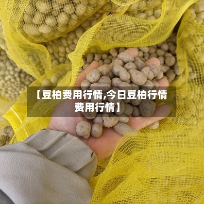 【豆柏费用行情,今日豆柏行情费用行情】
