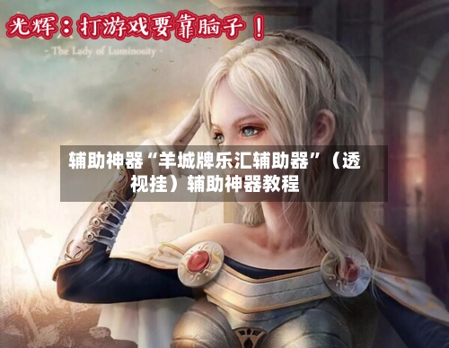 辅助神器“羊城牌乐汇辅助器”（透视挂）辅助神器教程-第3张图片
