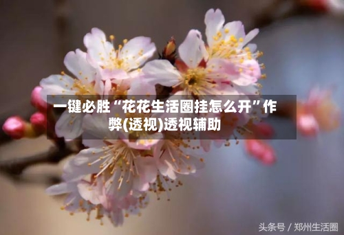 一键必胜“花花生活圈挂怎么开”作弊(透视)透视辅助-第2张图片