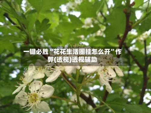 一键必胜“花花生活圈挂怎么开”作弊(透视)透视辅助