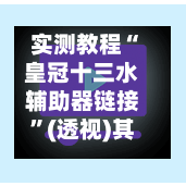 实测教程“皇冠十三水辅助器链接”(透视)其实确实有挂-第3张图片