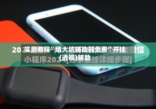 实测教程”填大坑辅助器免费”开挂(透视)辅助