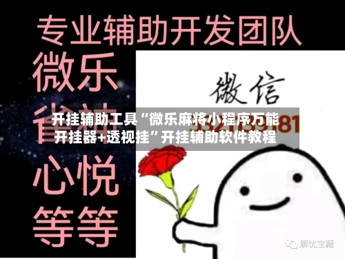 开挂辅助工具“微乐麻将小程序万能开挂器+透视挂”开挂辅助软件教程-第2张图片